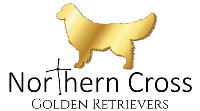Northern Cross Golden Retrievers